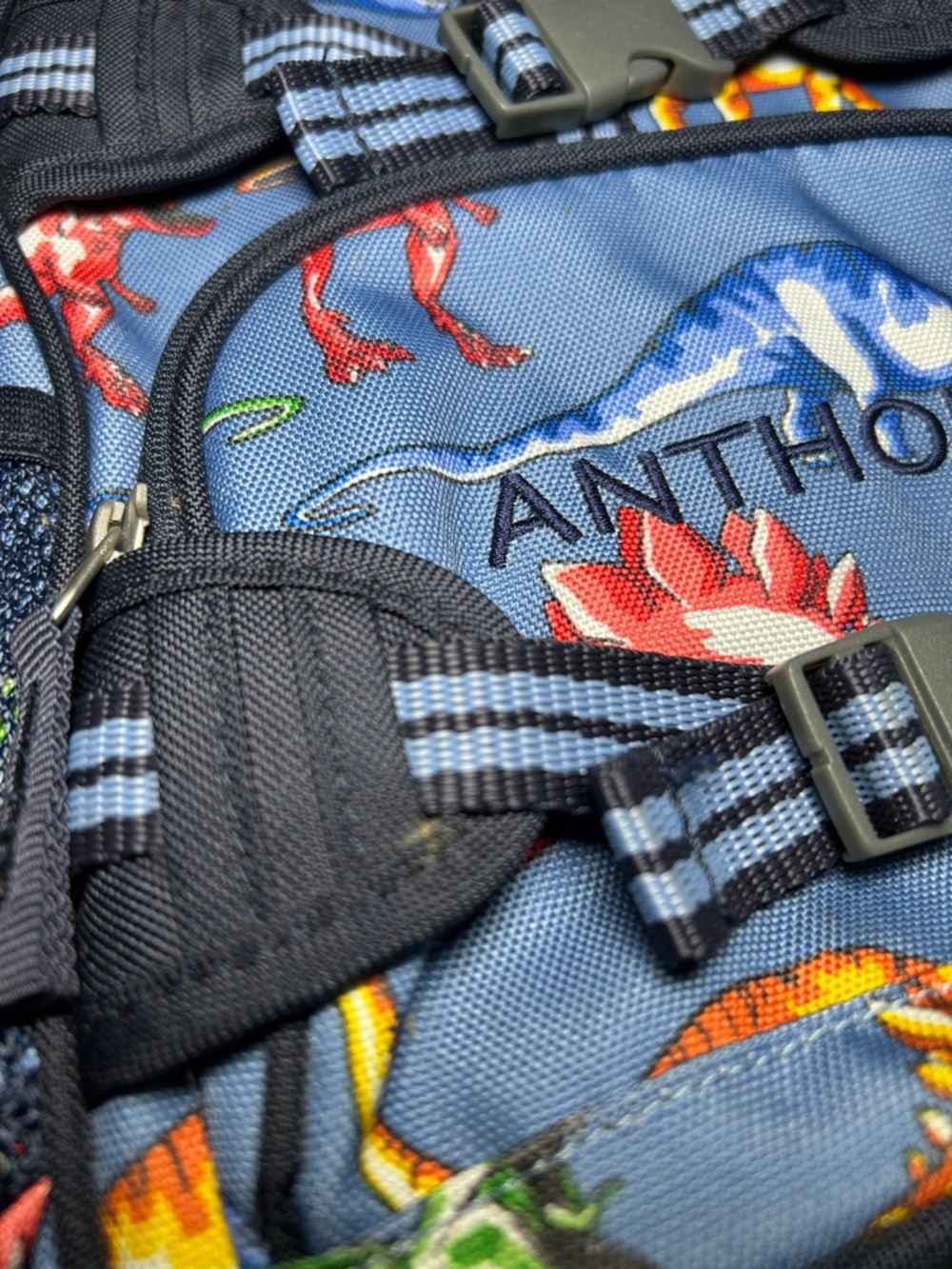 Pottery Barn Kids Personalized Kids Blue Dinosaur Backpack - Anthony - Picture 11 of 16